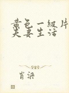 黄色一级片中国夫妻生活