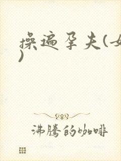 操遍孕夫(女攻)