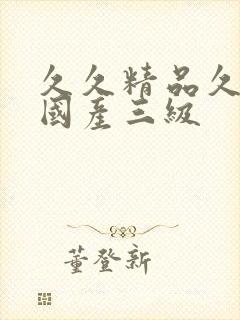 久久精品久久久国产三级