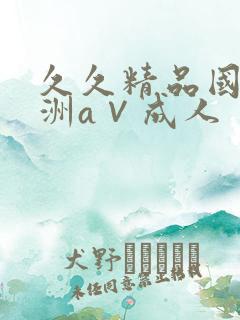 久久精品国产亚洲a∨成人