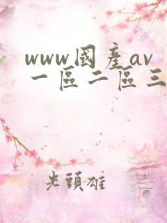 www国产av一区二区三区