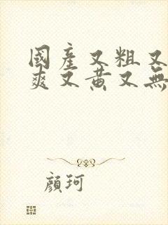 国产又粗又猛又爽又黄又无遮挡