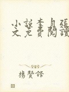 小说李月张勇全文免费阅读