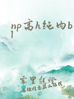 np高h纯肉bl