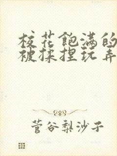 校花饱满的双乳被揉捏玩弄小说