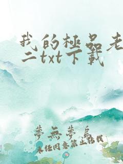 我的极品老婆小二txt下载
