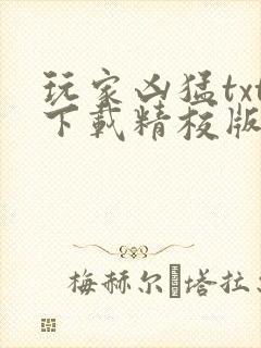 玩家凶猛txt下载精校版