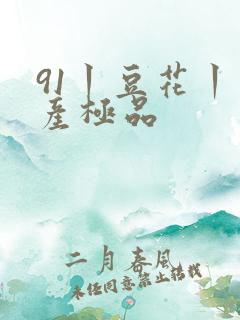 91丨豆花丨国产极品