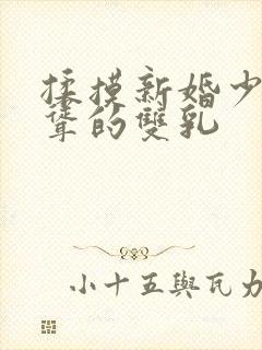 揉摸新婚少妇高耸的双乳