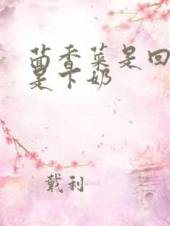 茴香菜是回奶还是下奶