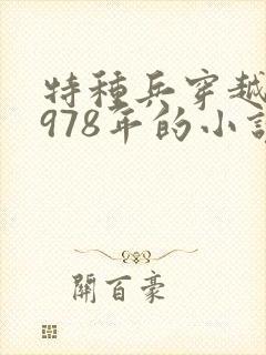 特种兵穿越回1978年的小说