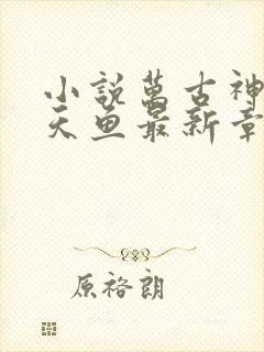 小说万古神帝飞天鱼最新章节阅读