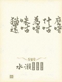 猫咪为什么踩奶还咕噜咕噜的