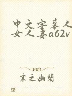 中文字幕人妻熟女人妻a62v网