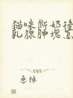 猫咪断奶后母猫乳腺肿块怎么办