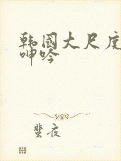 韩国大尺度床戏呻吟