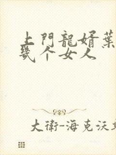 上门龙婿叶辰有几个女人