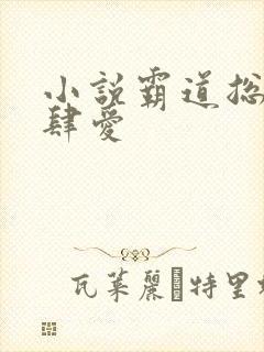 小说霸道总裁放肆爱