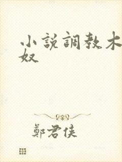 小说调教木马女奴
