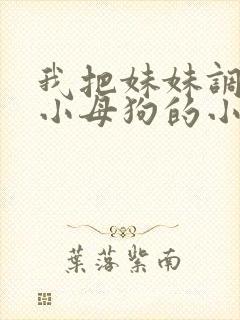 我把妹妹调教成小母狗的小说