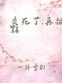 爽死了,再插快点