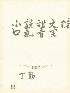 小说甜文推文一口气看完