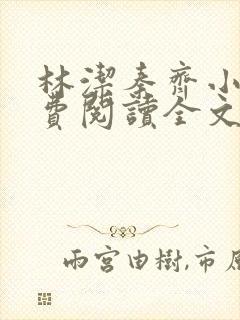 林洁秦齐小说免费阅读全文最新章节