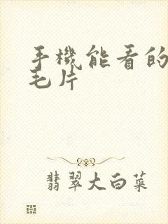 手机能看的av毛片