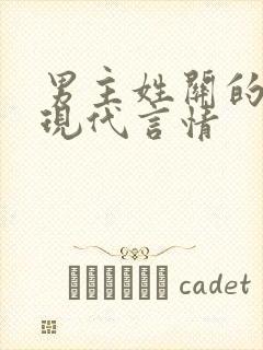 男主姓关的小说现代言情