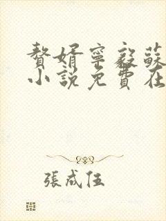 赘婿宁毅苏檀儿小说免费在线阅读完整版