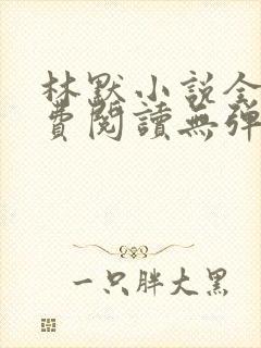 林默小说全文免费阅读无弹窗