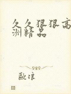 久久狠狠高潮亚洲精品