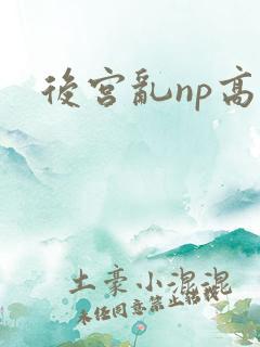 后宫乱np高h