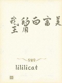 我的白富美老婆主角