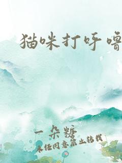 猫咪打呼噜踩奶