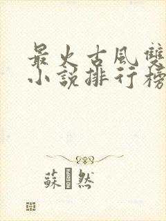 最火古风双男主小说排行榜