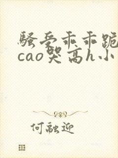 骚受乖乖跪趴被cao哭高h小说