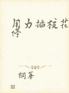 用力插校花不要停