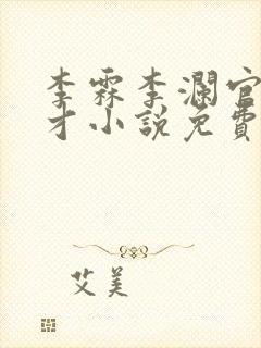 李霖李澜官场奇才小说免费阅读