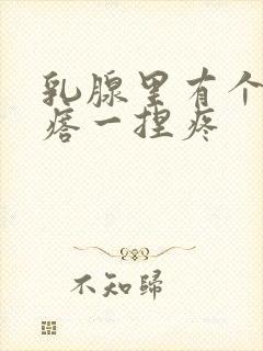 乳腺里有个硬疙瘩一捏疼