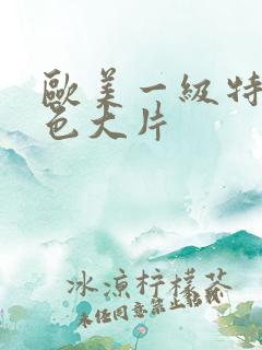 欧美一级特黄特色大片