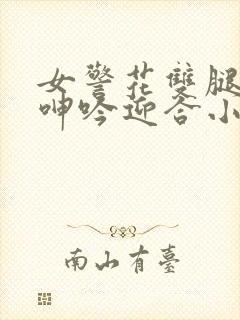 女警花双腿大开呻吟迎合小说