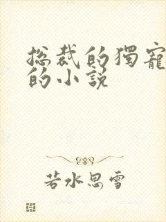 总裁的独宠甜妻的小说