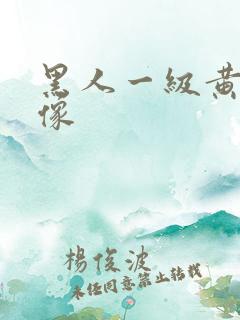 黑人一级黄色录像