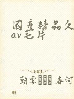 国产精品久久久av毛片