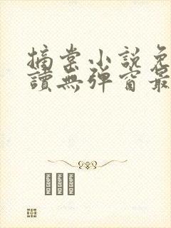 摘棠小说免费阅读无弹窗最新章节