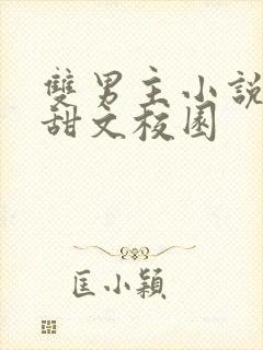 双男主小说推荐甜文校园