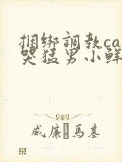 捆绑调教cao哭猛男小鲜肉0