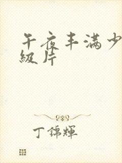 午夜丰满少妇一级片