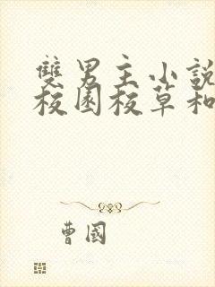 双男主小说推荐校园校草和校霸